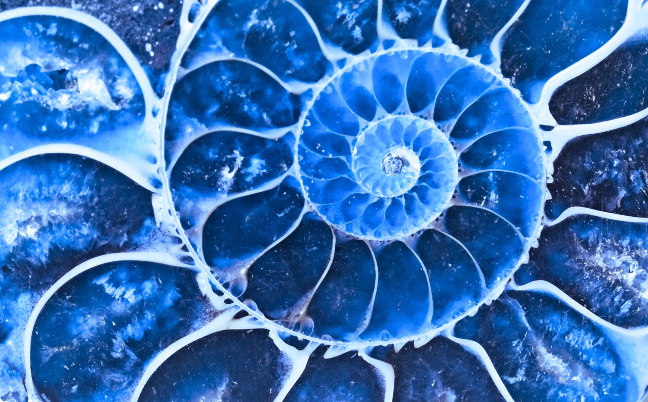 dekoratives Bild zur Seite Bereich Palliativ und Hospizarbeit