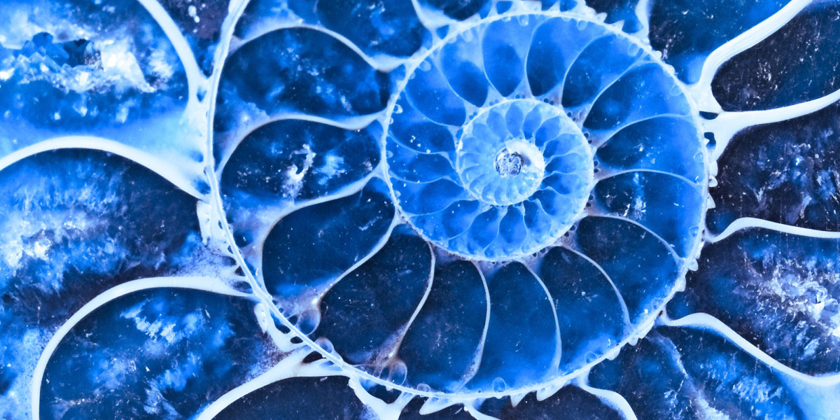 Bild zum Kurs Bereich Palliativ- und Hospizarbeit | Kontaktdaten | Copyright: vaeenma: getty images